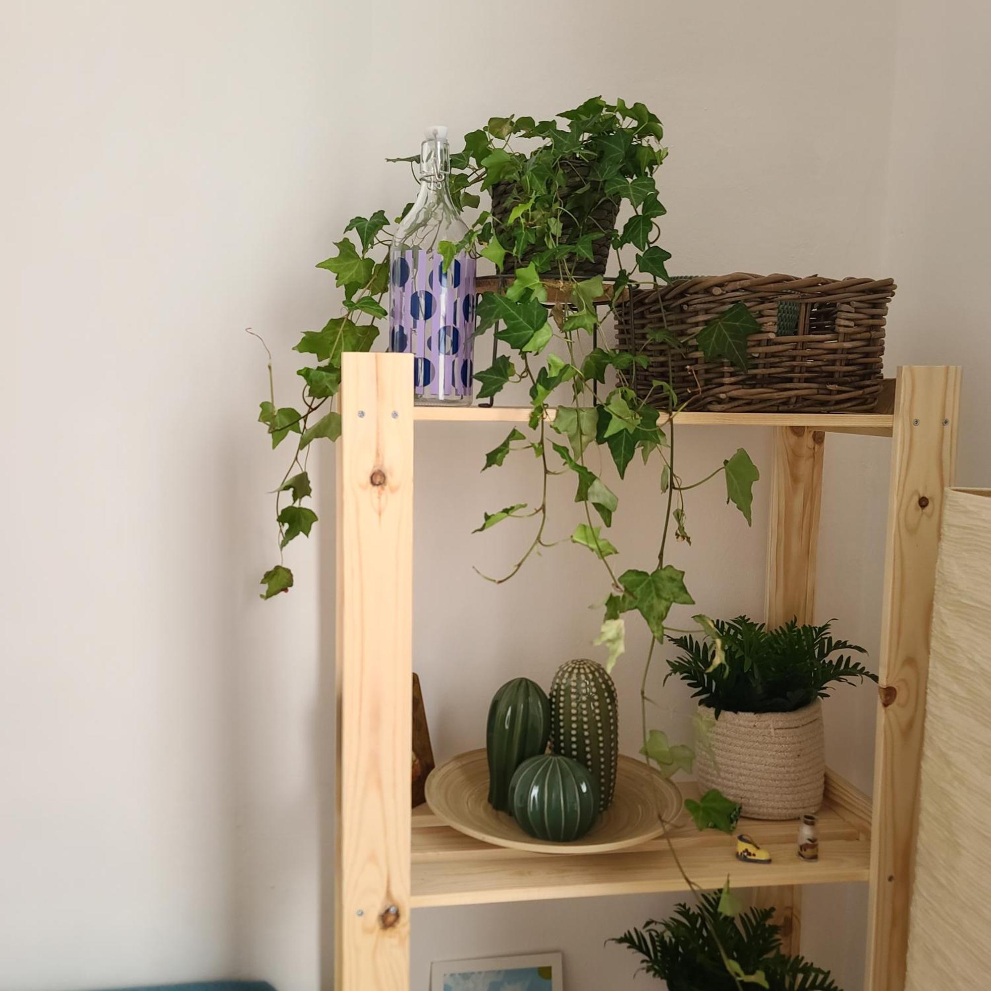 Mariamora Séjour chez l'habitant *